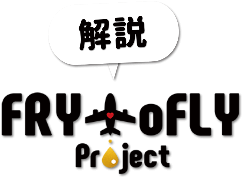 解説 FrytoFlyProject