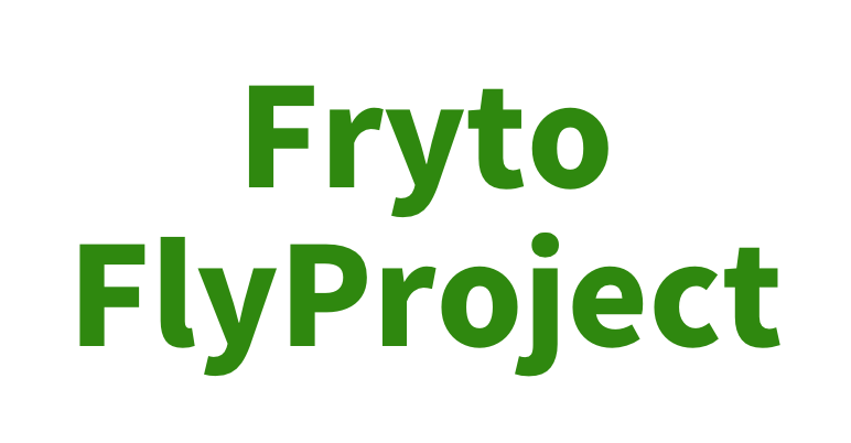FrytoFlyProject